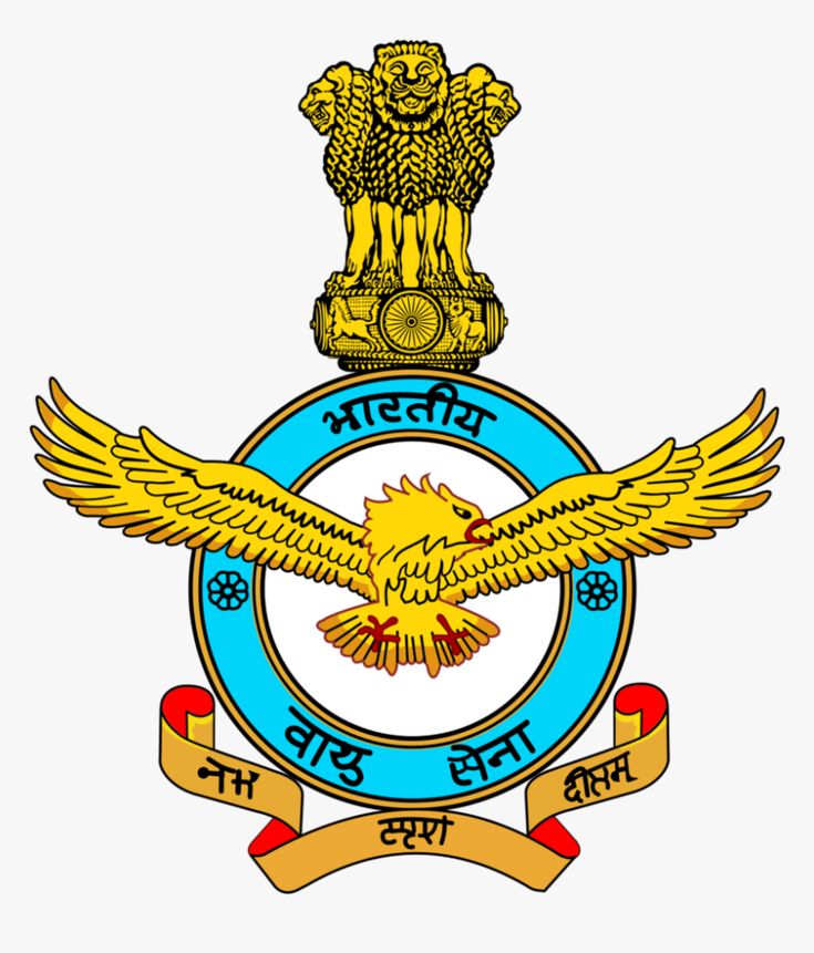 Indian Air Force logo
